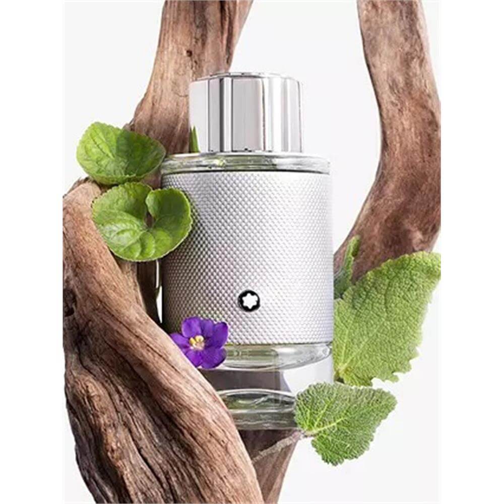 Montblanc Explorer Platinum Edp 100ml | Jarrolds, Norwich